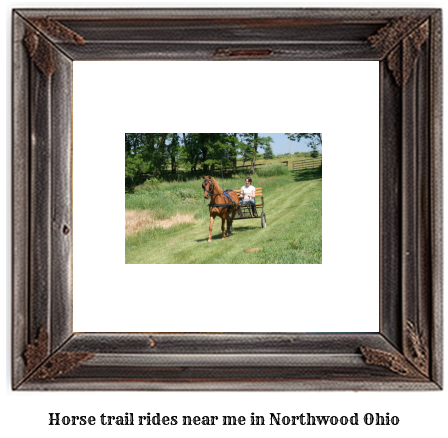 horse trail rides near me in Northwood, Ohio